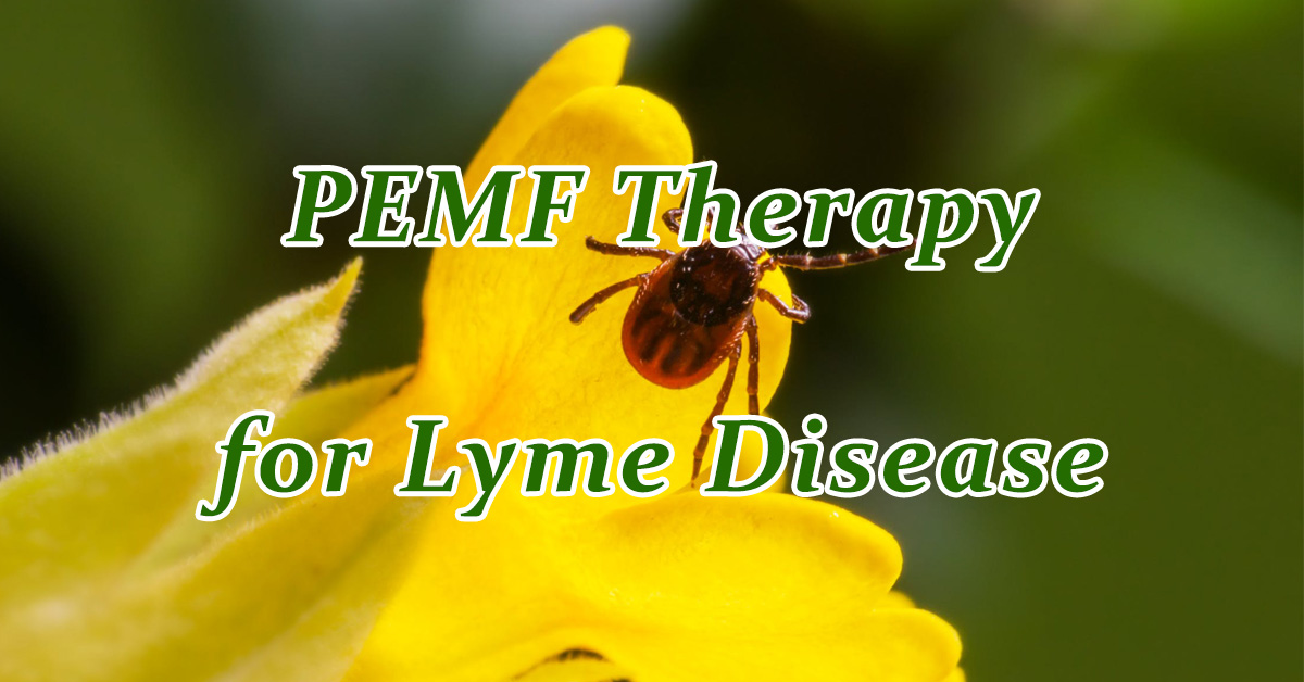 PEMF Therapy for Lyme Disease