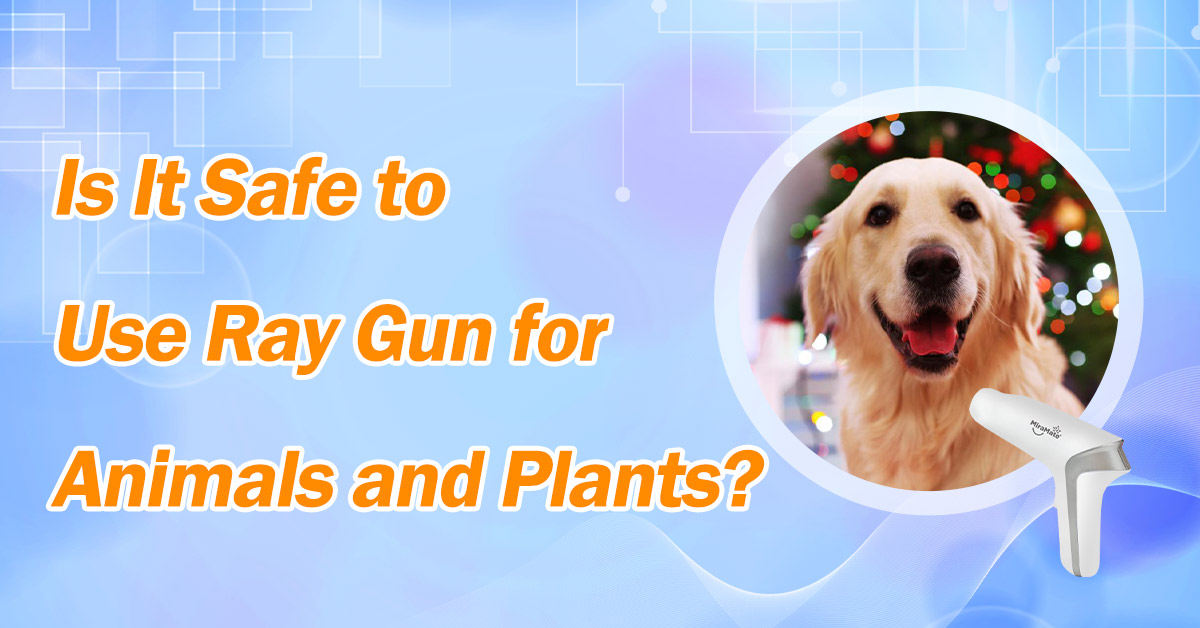 Is It Safe to Use Ray Gun for Animals and Plants
