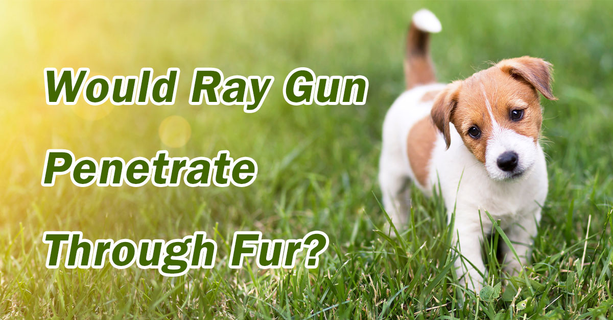 Would Ray Gun Penetrate Through Fur