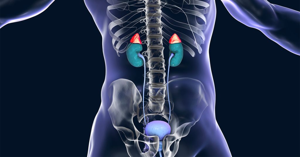 chronic prostatitis reduces the quality of your life both physically and mentally