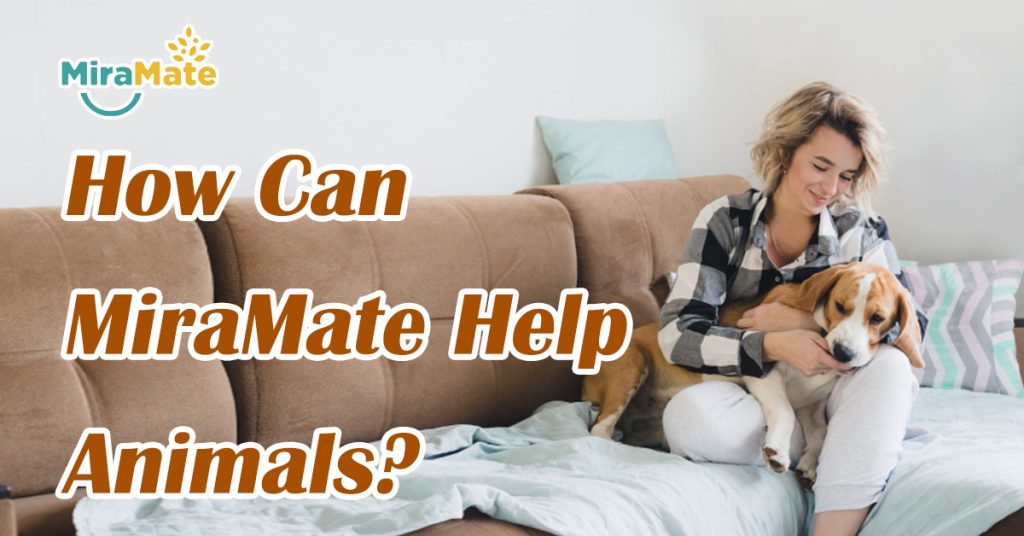 Wie kann MiraMate Tieren helfen?